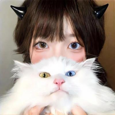 精装追女仔之3狼之一族
